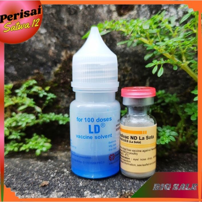 Vaksin Tetes Vaksin ND lasota dosis 100 Ekor ayam plus larutan