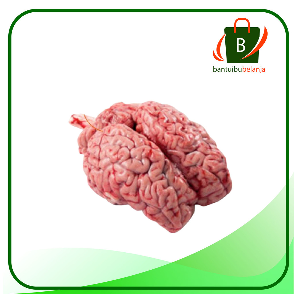

OTAK SAPI SEGAR UTUH (per pcs)