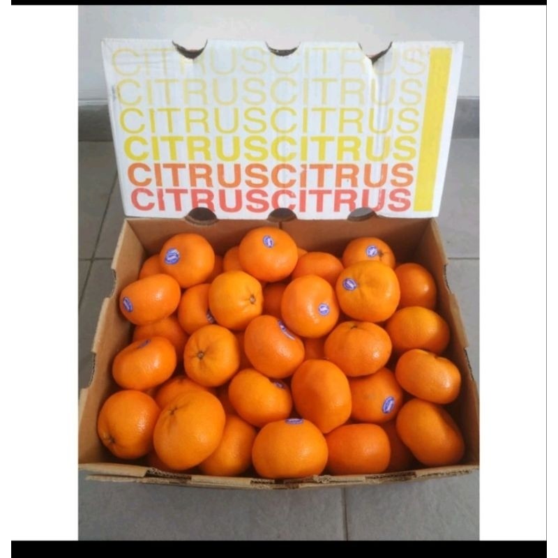 

New Paket Buah Segar Indonesia Dijamin FreshPremium