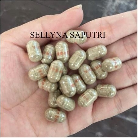 

(Ginseng Kianpi Pil) 60'S BPOM - Penambah Nafsu Makan, Obat Penggemuk Badan