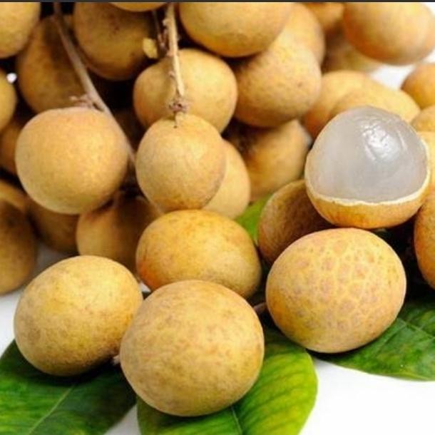 

Lengkeng bangkok super 1kg - 1000 gram