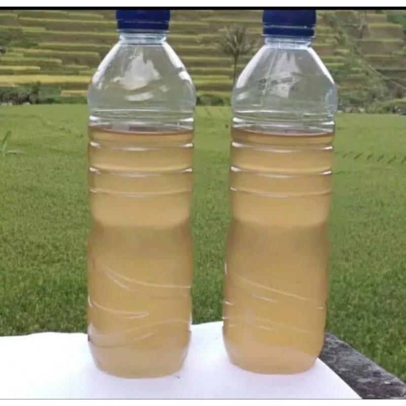 

Air Nira asli,neto/500gram,siap saji Herbal COD