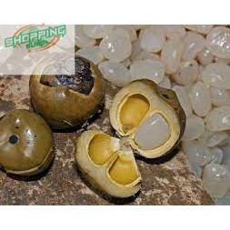 

KOLANG KALING/CARULUK SEGAR 500 GR SIAP KIRIM