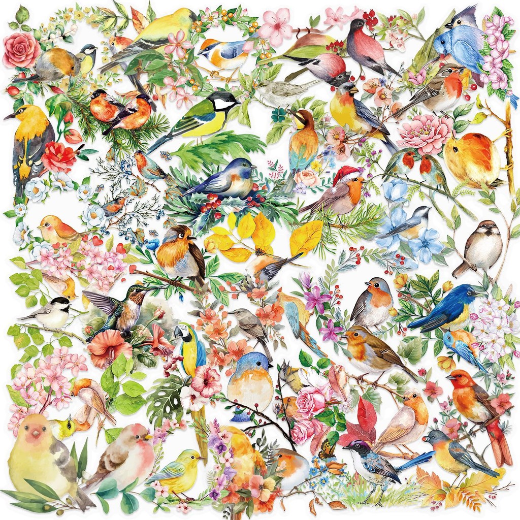 

50Pcs Transparent Watercolor Bird Sticker Waterproof Transparent PET Decor Guitar Notebook Stationary Stickers