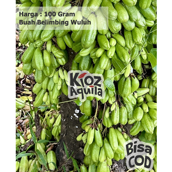 

[RS] Belimbing Wuluh Segar 100 gr Petik Dadakan Saat ada Pesanan fresh