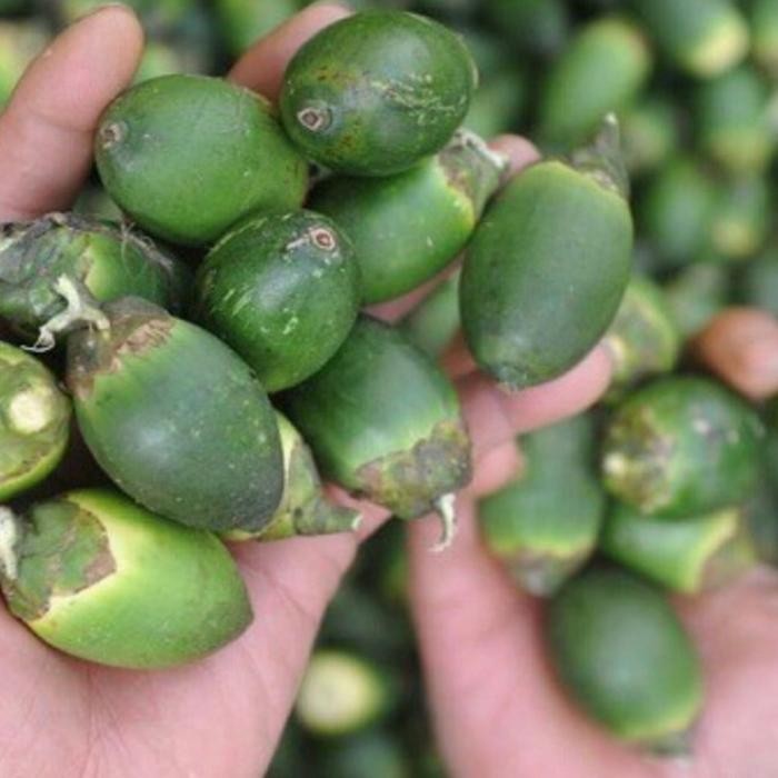 

Buah Jambe/Pinang Muda Shop with