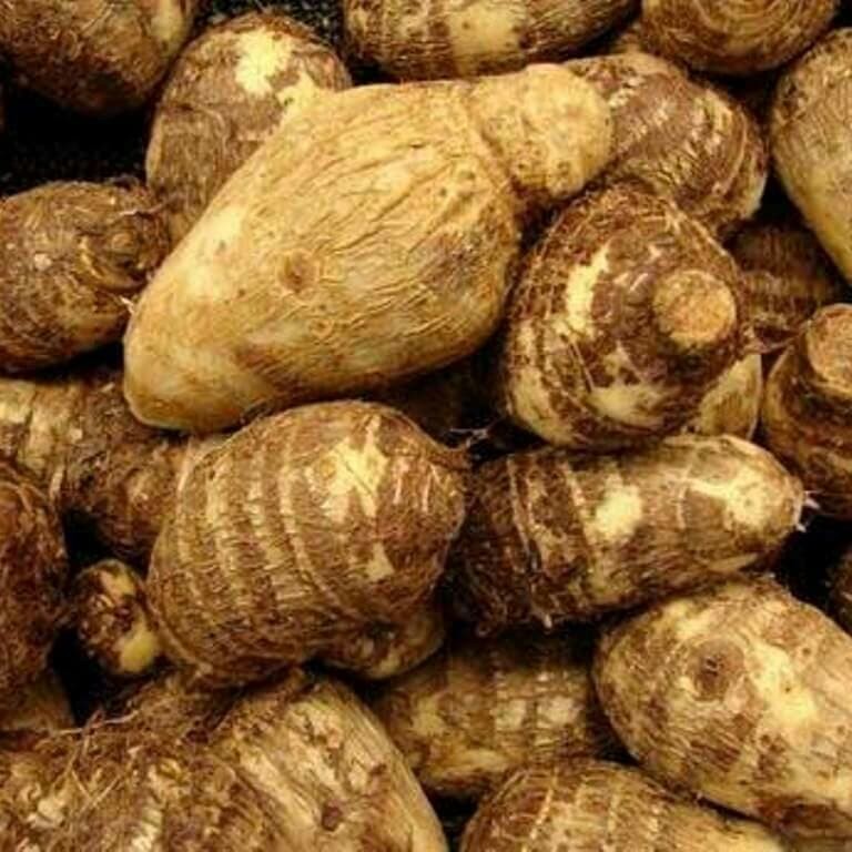 

ubi jalar/ubi talas/sweet potato