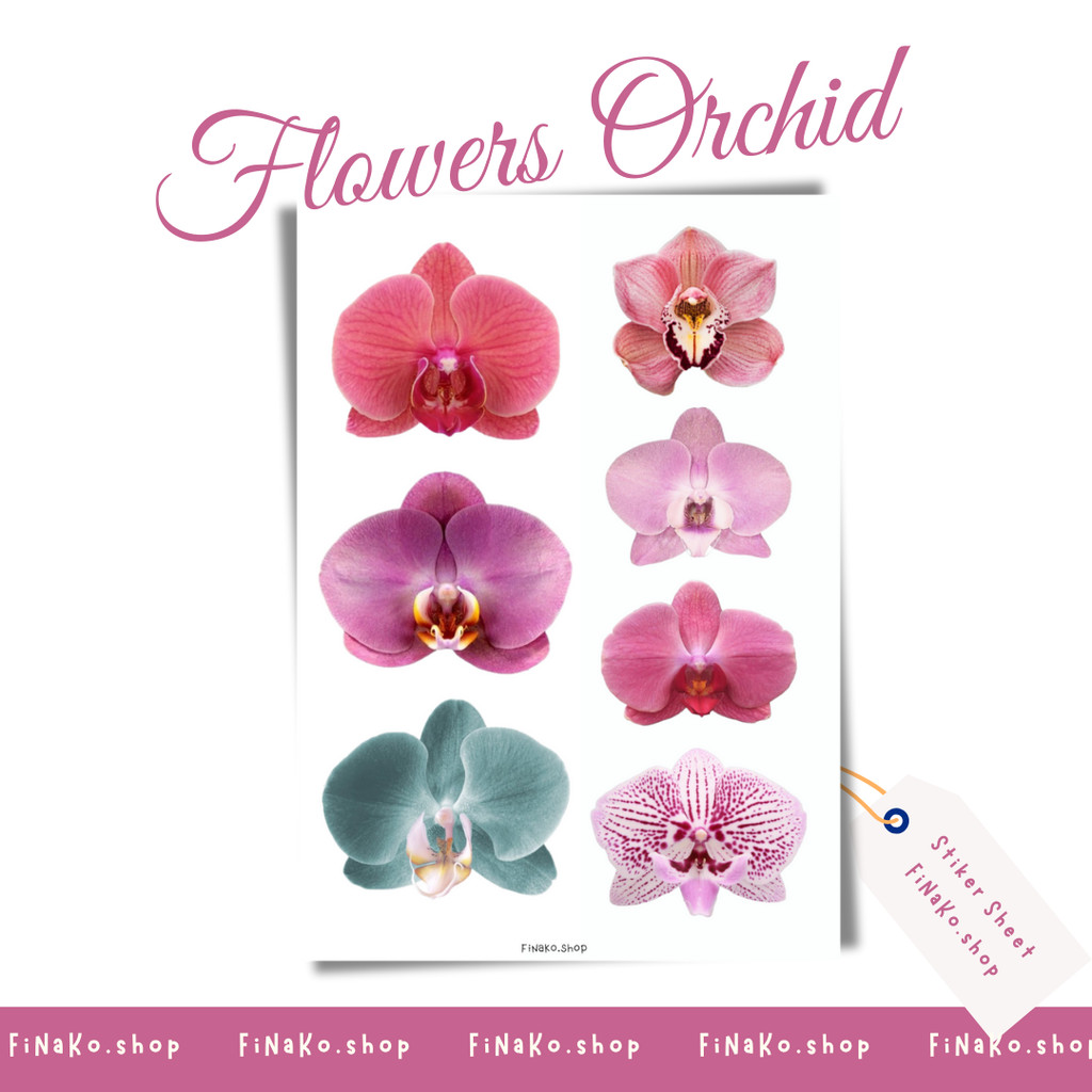 

Stiker Sheet Flowers Orchid Aesthetic Ins Korea Untuk Dekorasi Scrapbook, Sticker Journaling, Phonecase, Headphone, Stiker Lucu