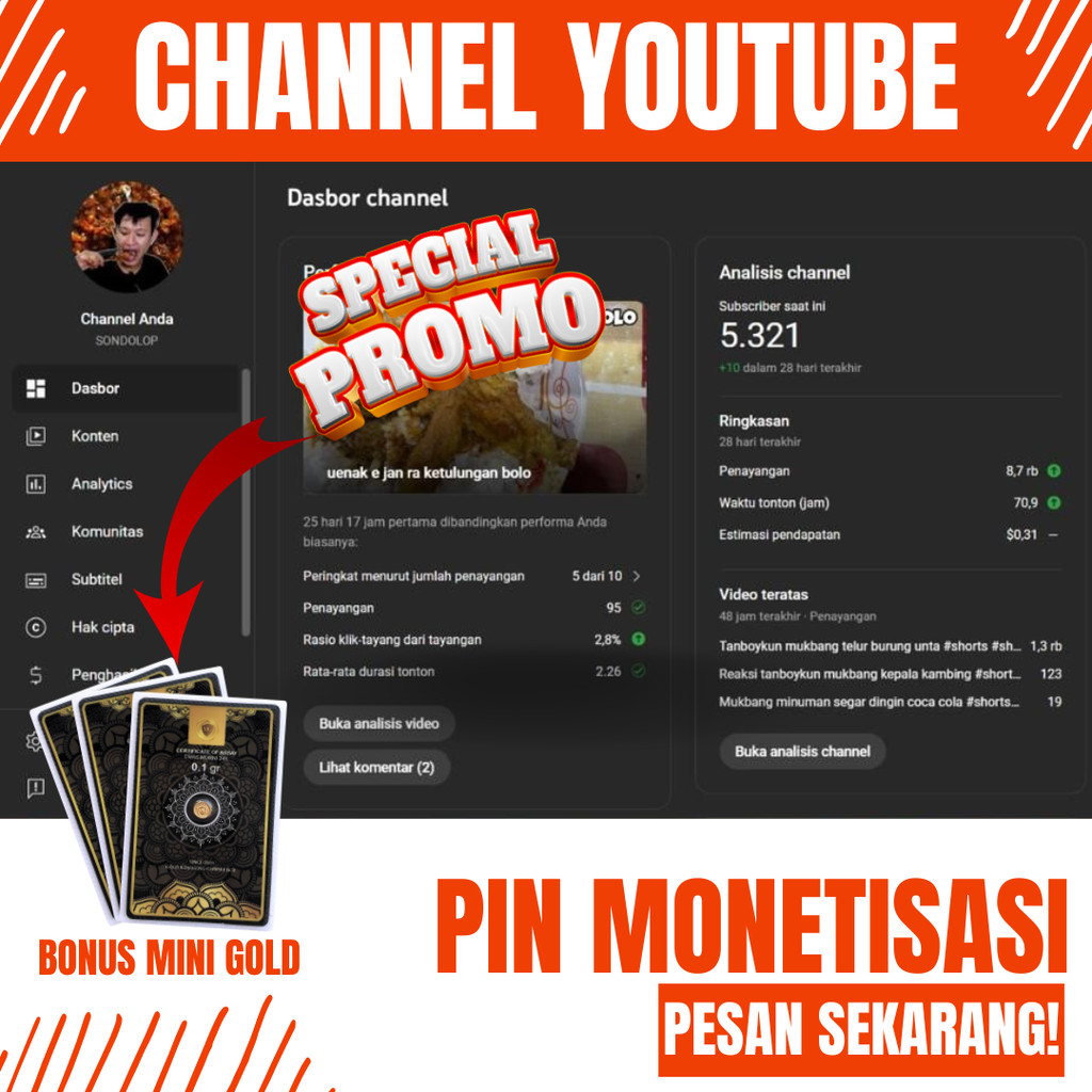 CHANNEL YOUTUBE MONETIASI SUDAH SEPAKET PIN