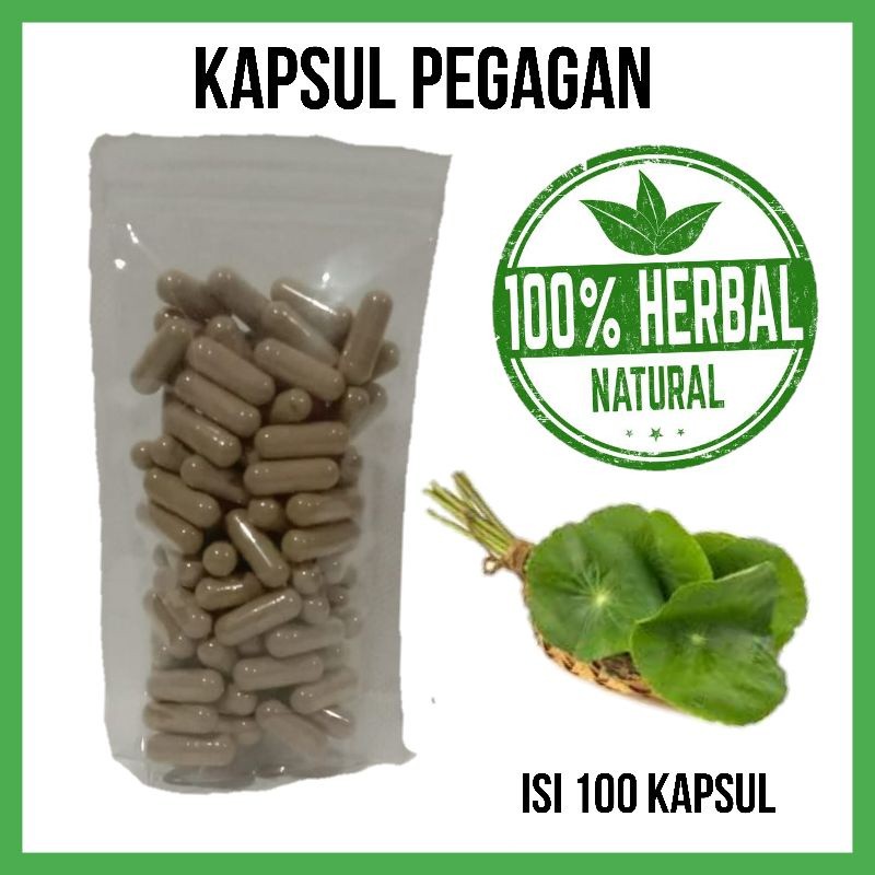 Kapsul Pegagan isi 100 Asli. Alami. Berkhasiat