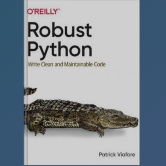 Buku Robust Python