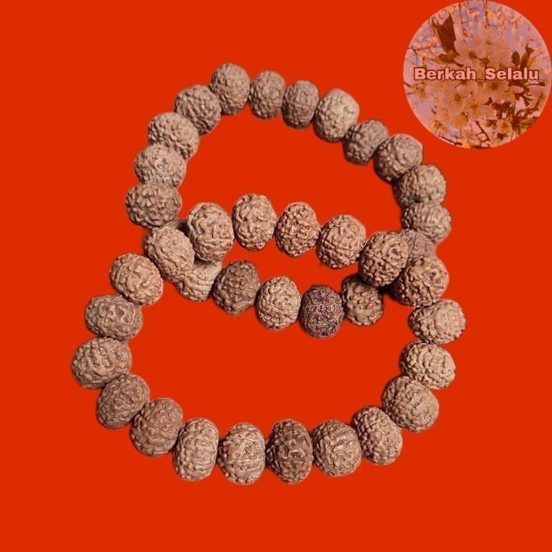 Gelang Jenitri Rudraksha Genitri Ganitri Mukhi 7 Garis 7 Berkah_Selalu