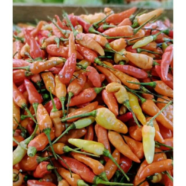 

Cabe rawit merah /250gram