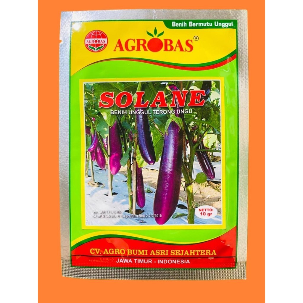 Benih Unggul Terong Ungu SOLANE 10gr MK