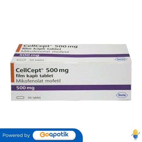 Cellcept 500 Mg Box 50 Kaplet