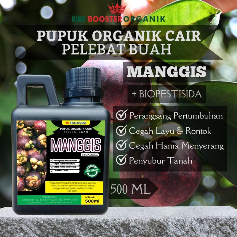 Pupuk Booster MANGGIS Pupuk Cair 500ml MANGGIS Pupuk Semprot Perbanyak  Panen Lebih Banyak Dan Besar