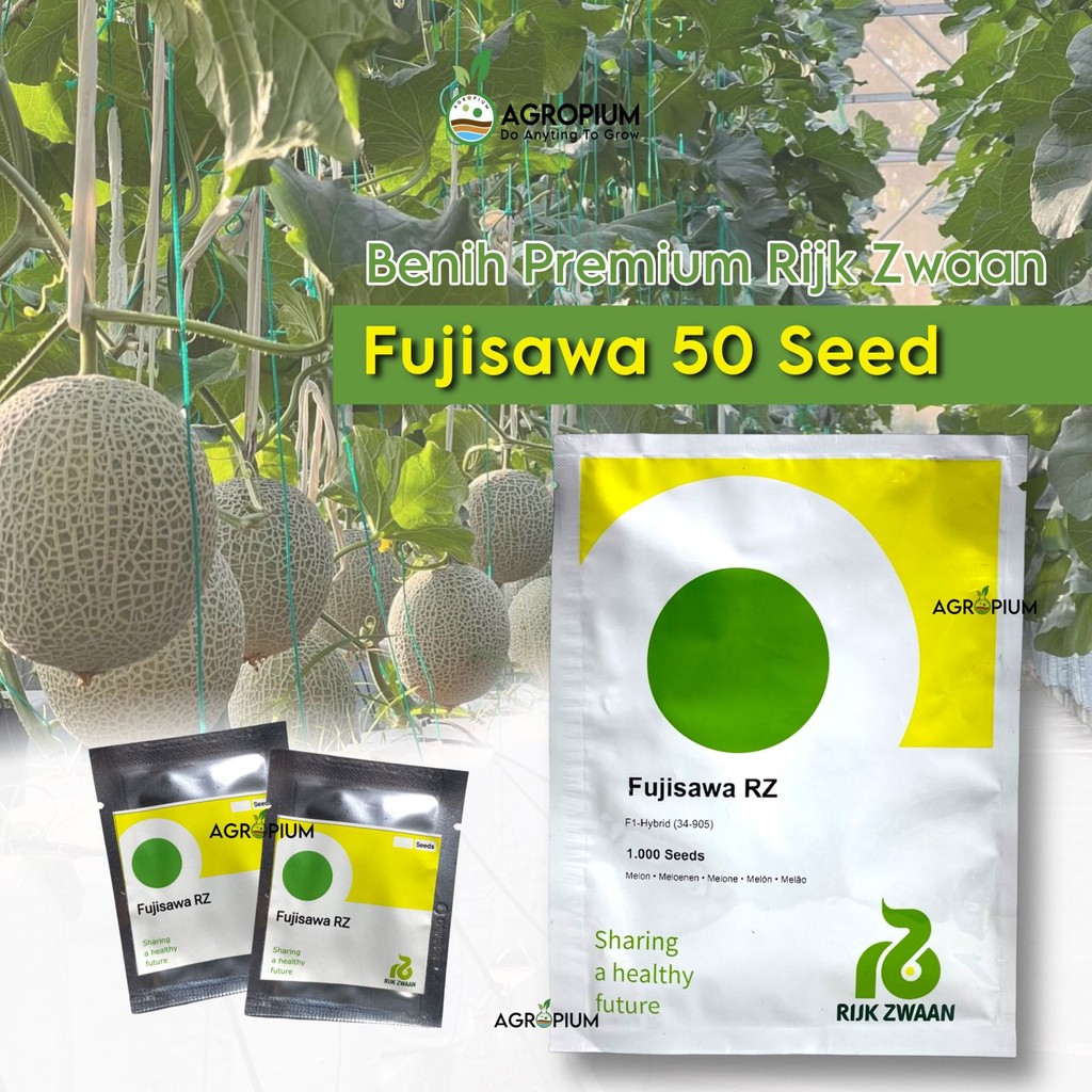 Benih Melon FUJISAWA RZ Repack 50 Butir Rijk Zwaan