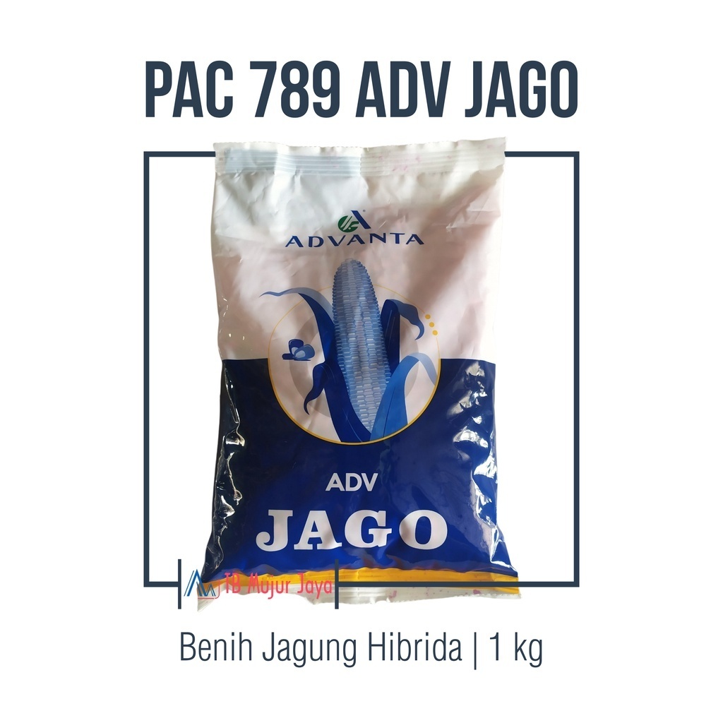 PAC 789 ADVANTA ADV JAGO Benih Jagung Hibrida 1 kg