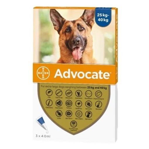 Advocate Dog XL 25-40kg (1 tube) - Obat Tetes Kutu Anjing