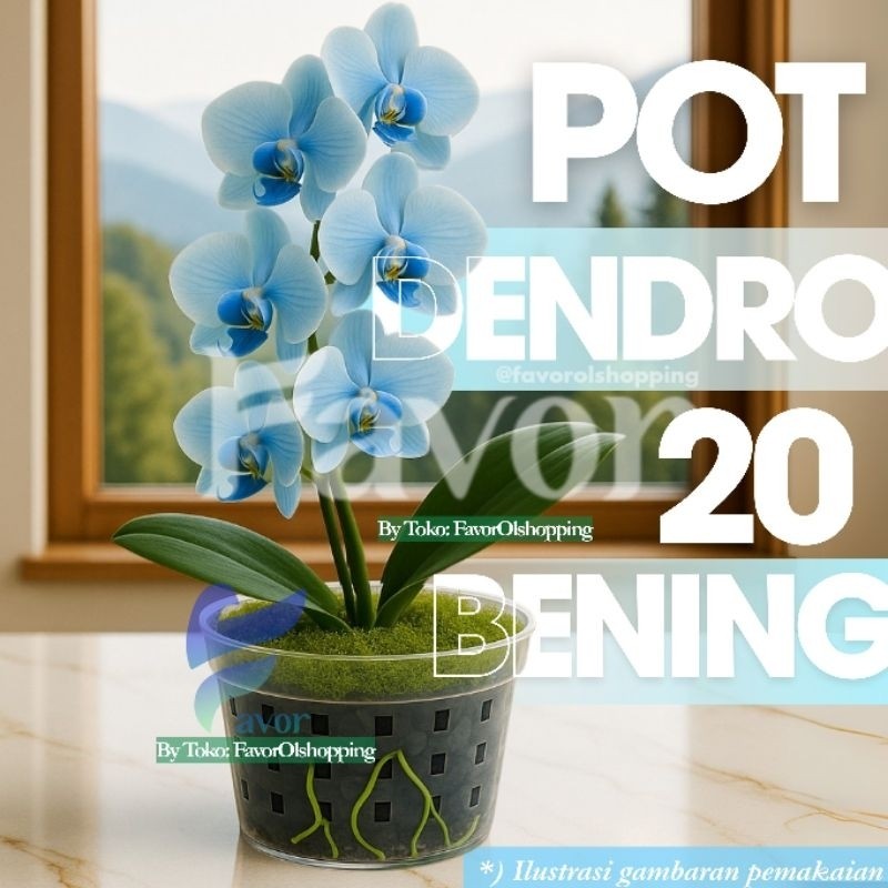 Pot Anggrek Estetik DENDROBIUM 20 BENING SPESIAL Basic Lubang Pot Plastik Praktis Aerasi