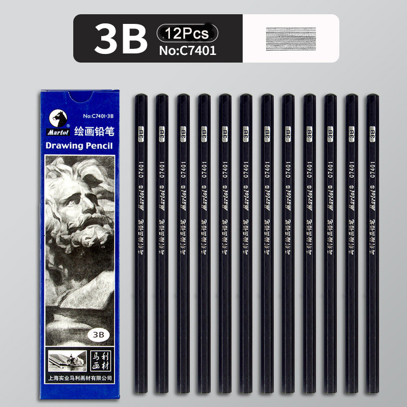 

12Pcs 2H HB B 2B 3B 4B 5B 6B 7B 8B 12B 14B Sketch Drawing Graphite Shading Charcoal Pencils Set Sketching for Artists Beginners