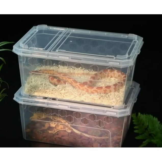 TERBARU Nomoy H11 25x16.2x11cm - Kandang Tarantula Enclosure Tarantula Box Reptil Snake Gecko BD Lob