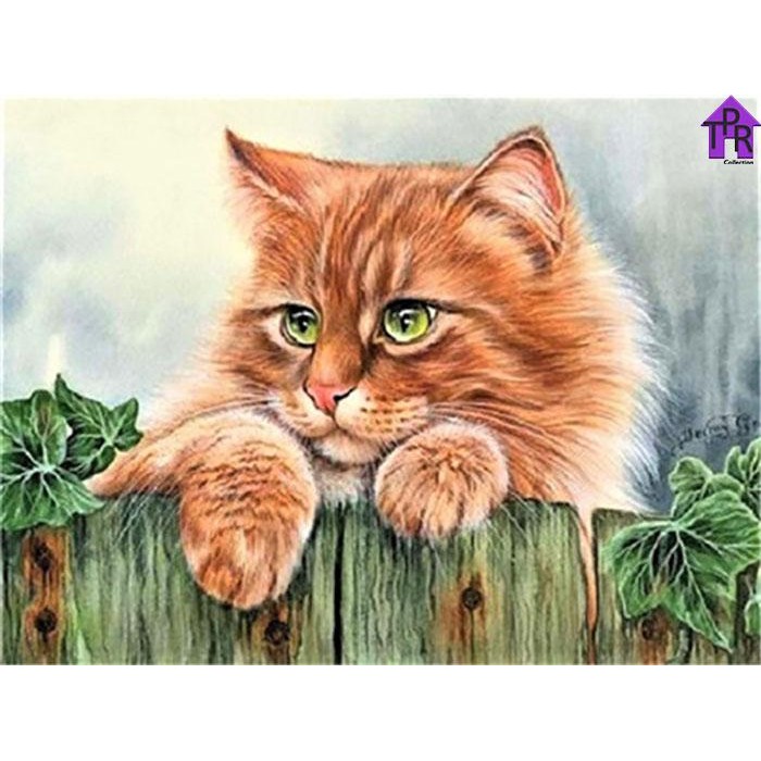 

DIY - Set Melukis / painting by number kit - ANIMAL 40x50cm. part-2 - Cat 5077