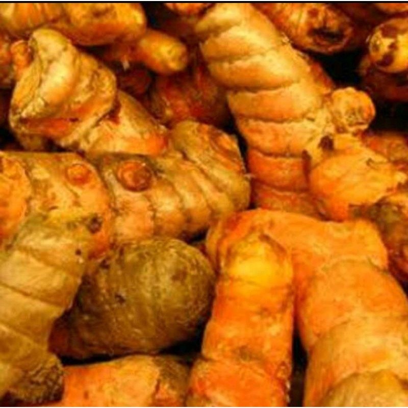 

kunyit sayur per 500 gram