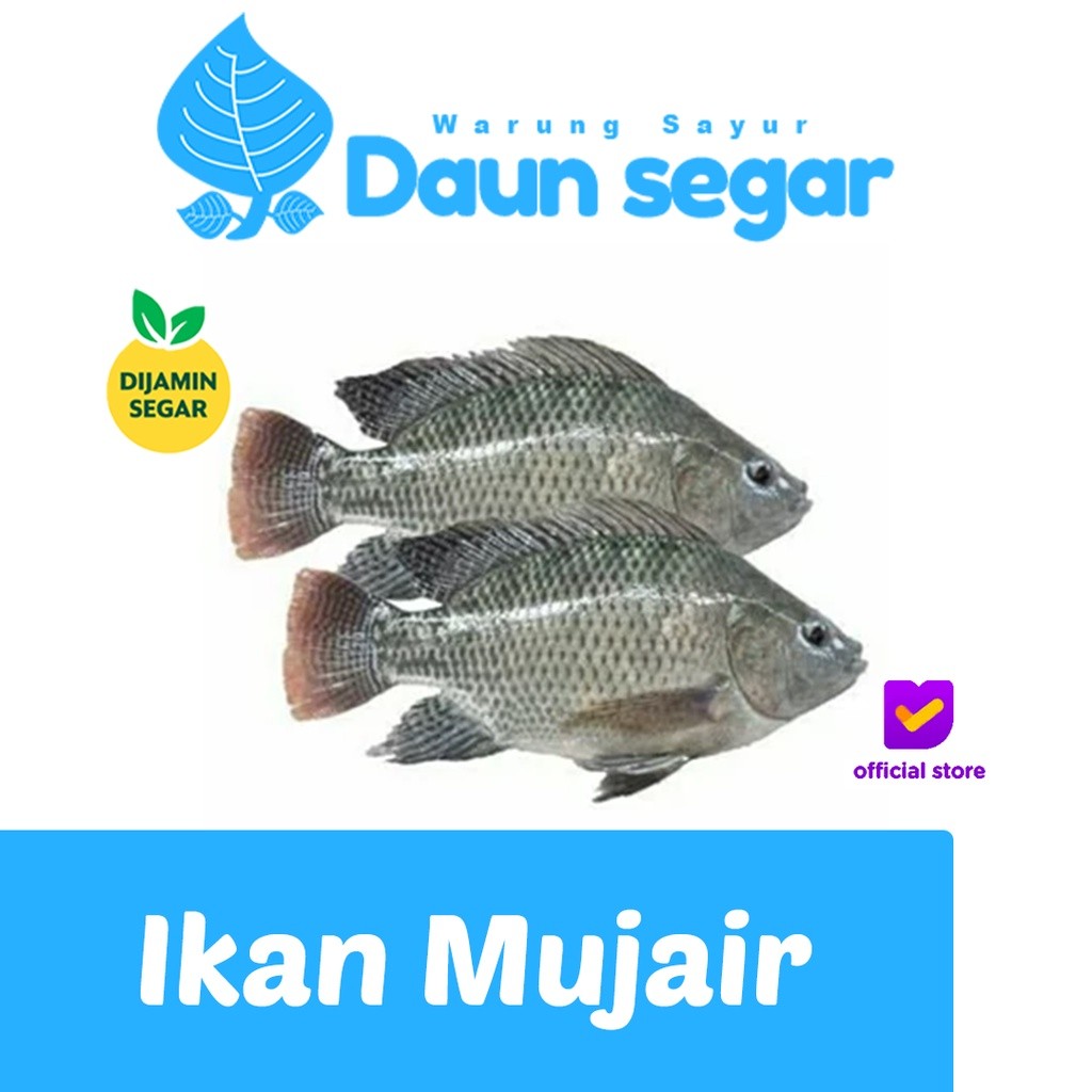 

Ikan Mujair Segar Fresh 1/2kg isi 2-3 ekor