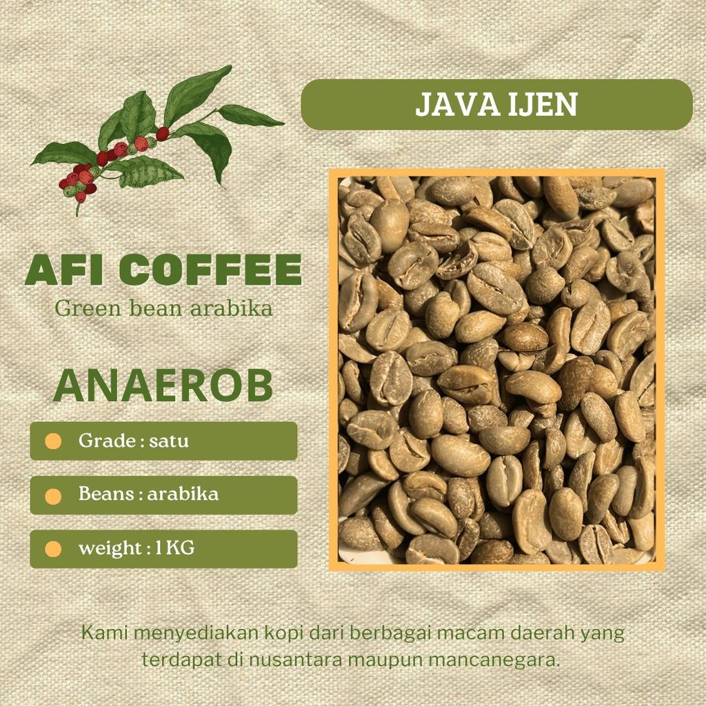 

GreenBean Arabika Ijen anaerob | biji kopi mentah 1kg