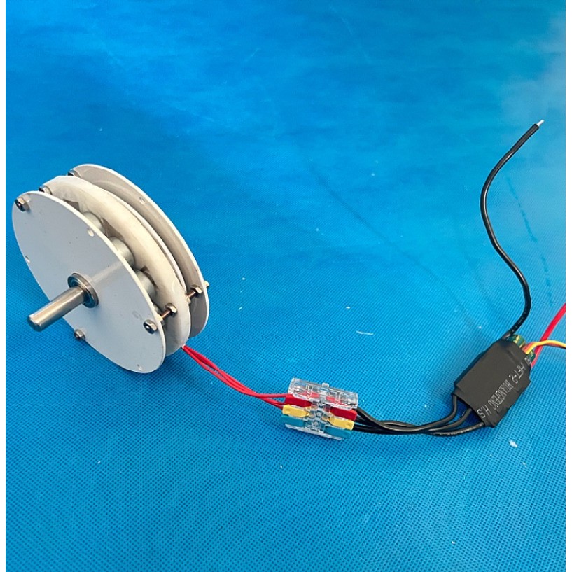 100w Mini Disc Generator Coreless Generator Permanent Magnet Brushless Motor High Efficiency Double 