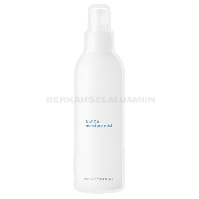 PENYEMPROT PELEMBAB WAJAH