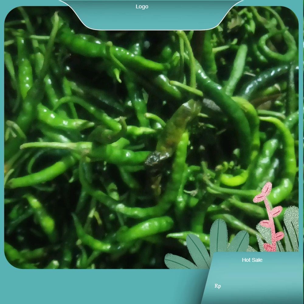 

cabai rawit keriting ijo segar Kecombrang