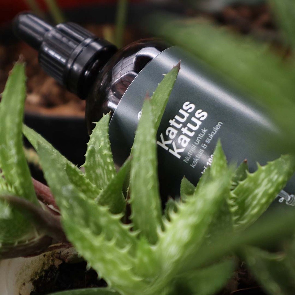 Liceriashop17 Pupuk Cair Sukulen 100Ml Kaktus Sukulen Sanseviera Bonsai Bagus Untuk Pertumbuhan