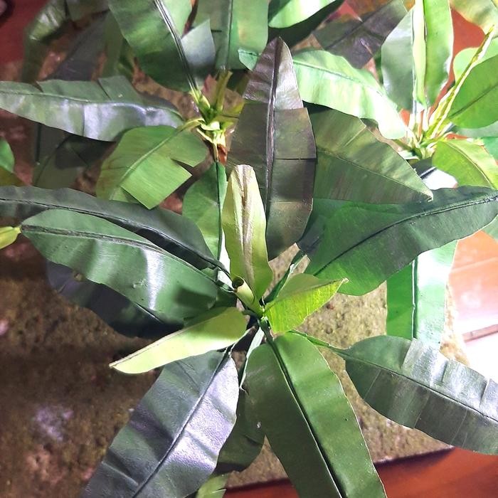 Miniatur pohon Pisang skala 1/35 ±13cm handmade