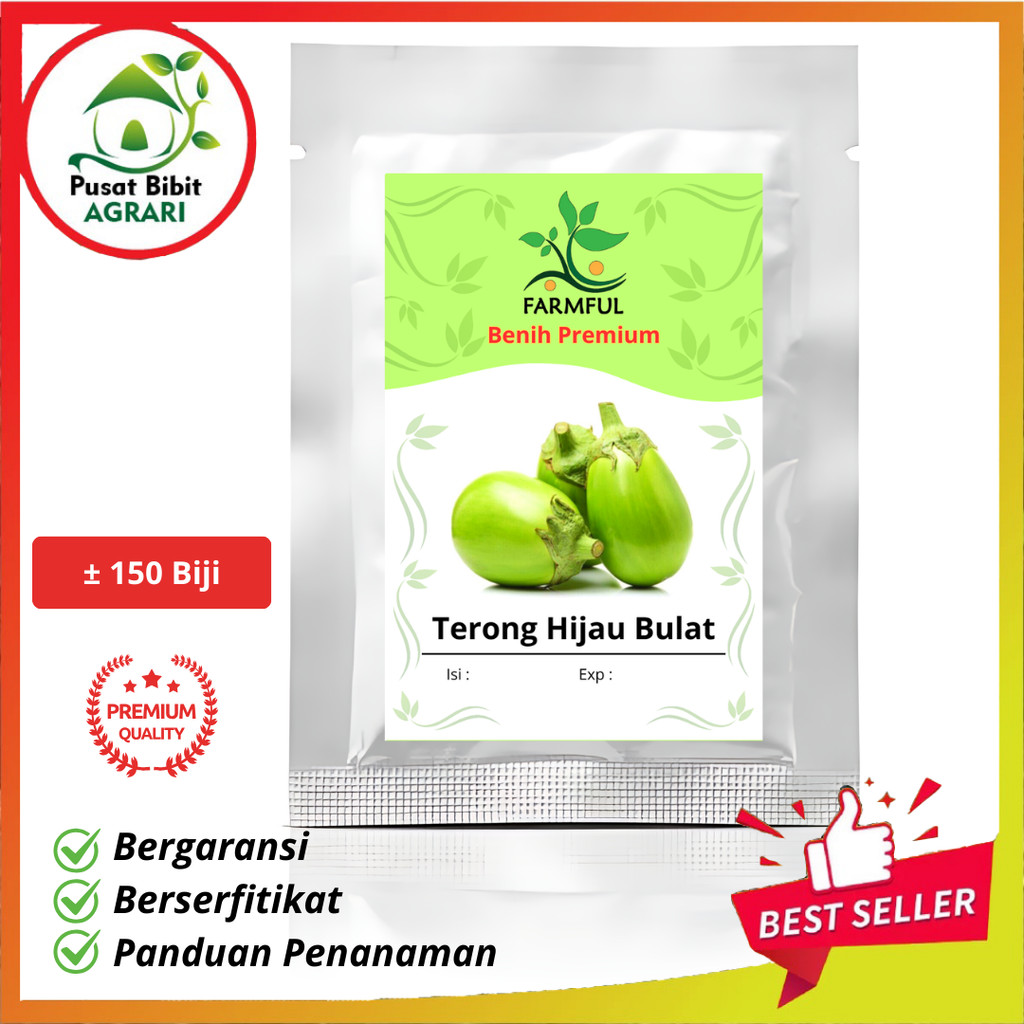 Benih Terong Hijau Bulat Unggul Kemasan Besar Pusat Bibit Agrari