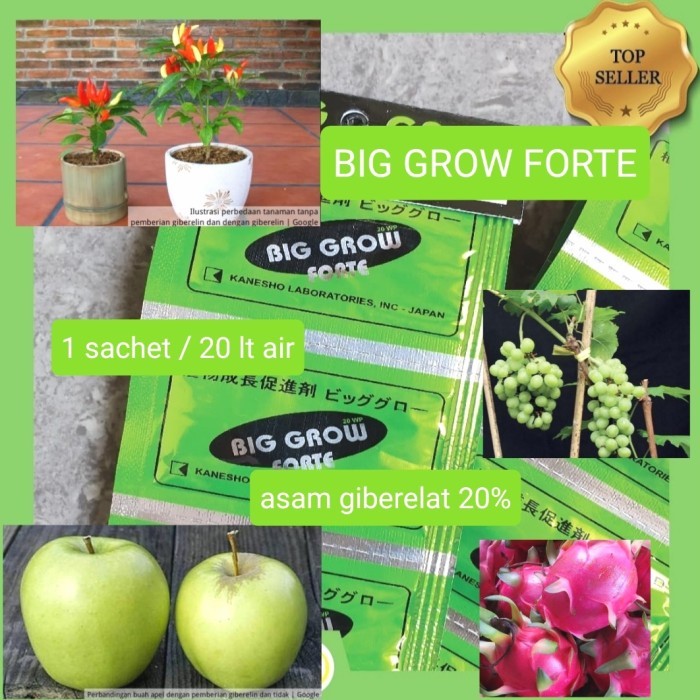 ZPT  Tanaman Big Grow Forte 20 WP Giberelin Sachet