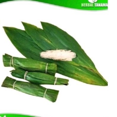 

New Daun bambu sgar 100 lmbar bungkus bacang