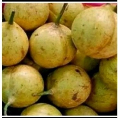 

New Buah pala sgar 1kg utuk manisan
