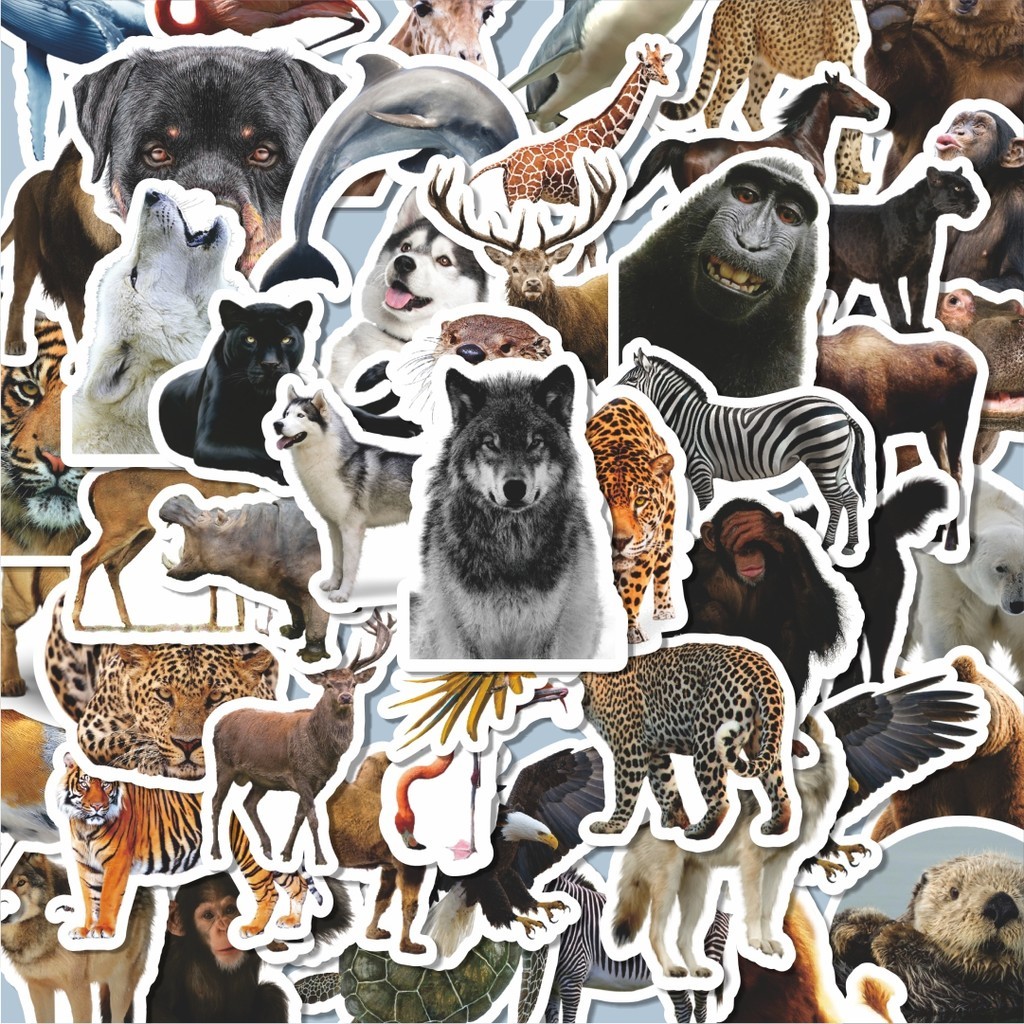 

100PCS Lucu Stiker Hewan Hewan/Animal Stiker Aesthetic Stiker Anti Air Stikers Berperekat Waterproof sticker decal buat Motor Helm Buku Journal Koper Casing HP Laptop Botol Minum Hadiah anak