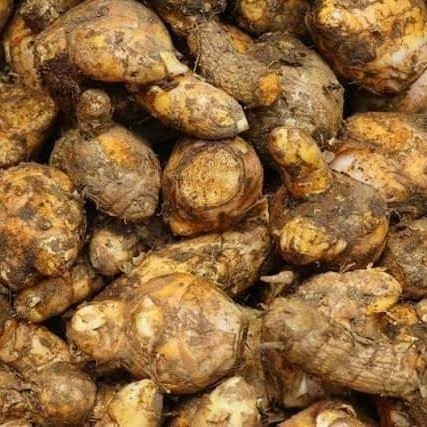

Temulawak segar 1kg