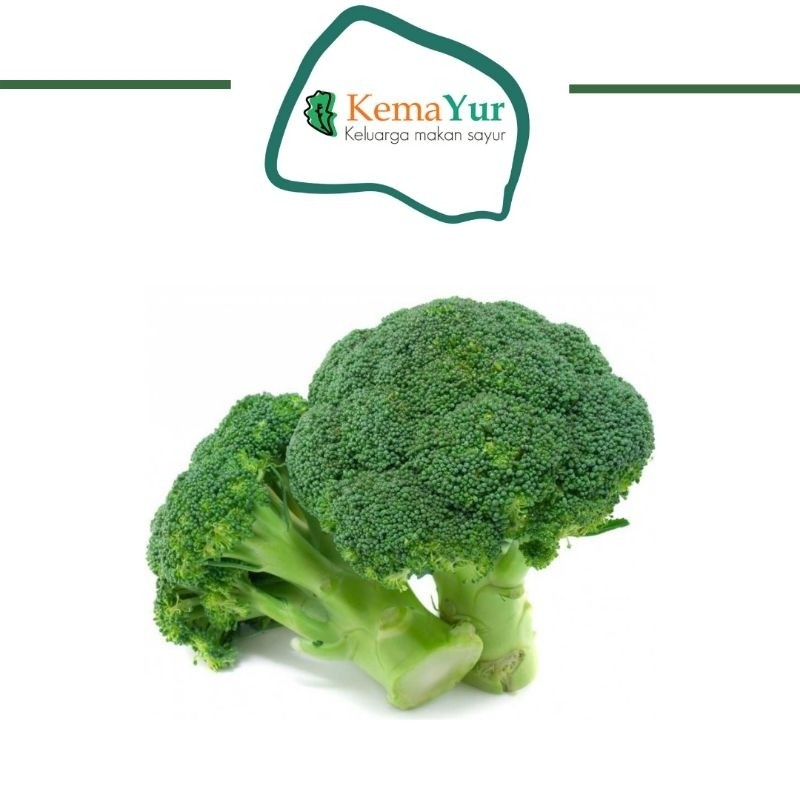 

BROKOLI 500GR - 1KG SURABAYA