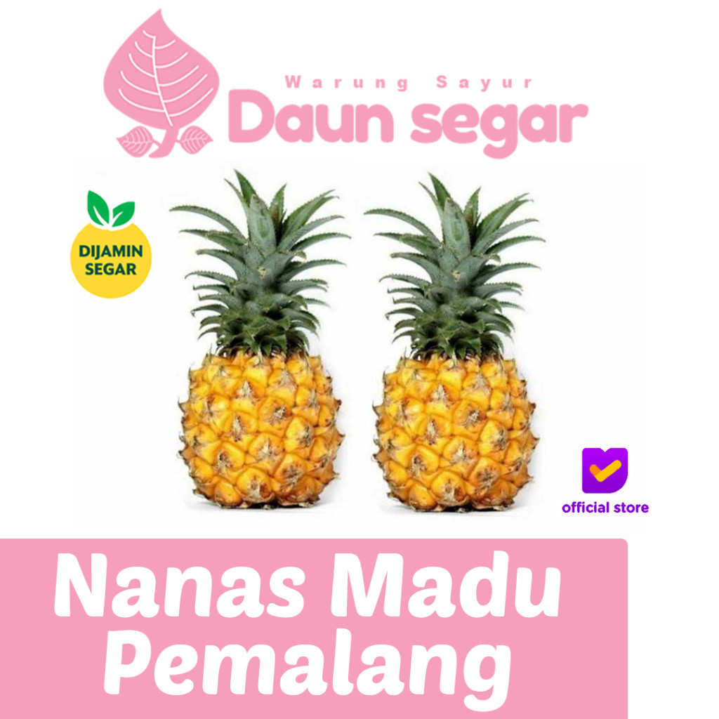 

Nanas Pemalang isi 2pcs Manis Banget Buah Lokal Premium dari Petani Terbaik