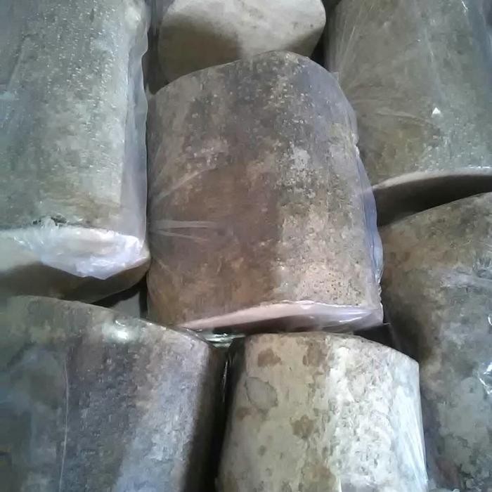 

[STOK TERBARU] Berkualitas Kayu Ular Ukuran Kecil 120gram Paling Larish