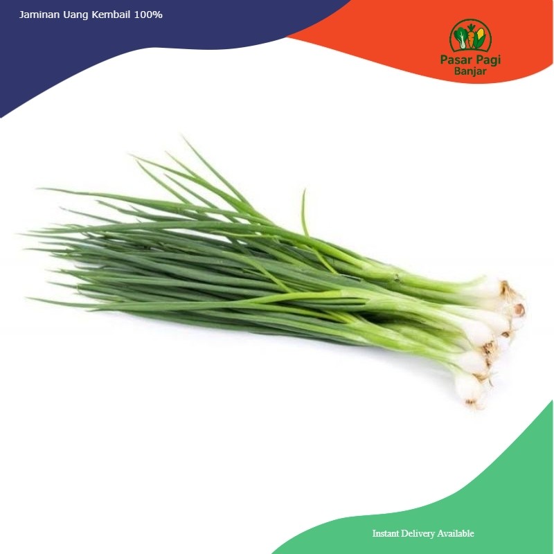 

Daun Bawang Per Ikat Kecil