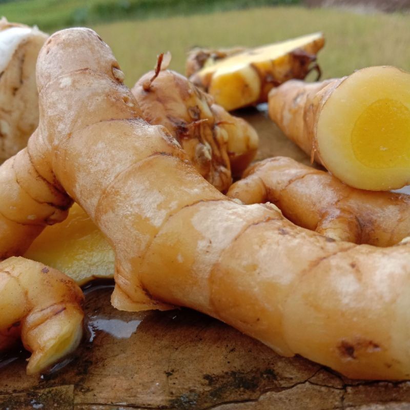 

temu mangga /kunyit mangga segar fresh 1 kg