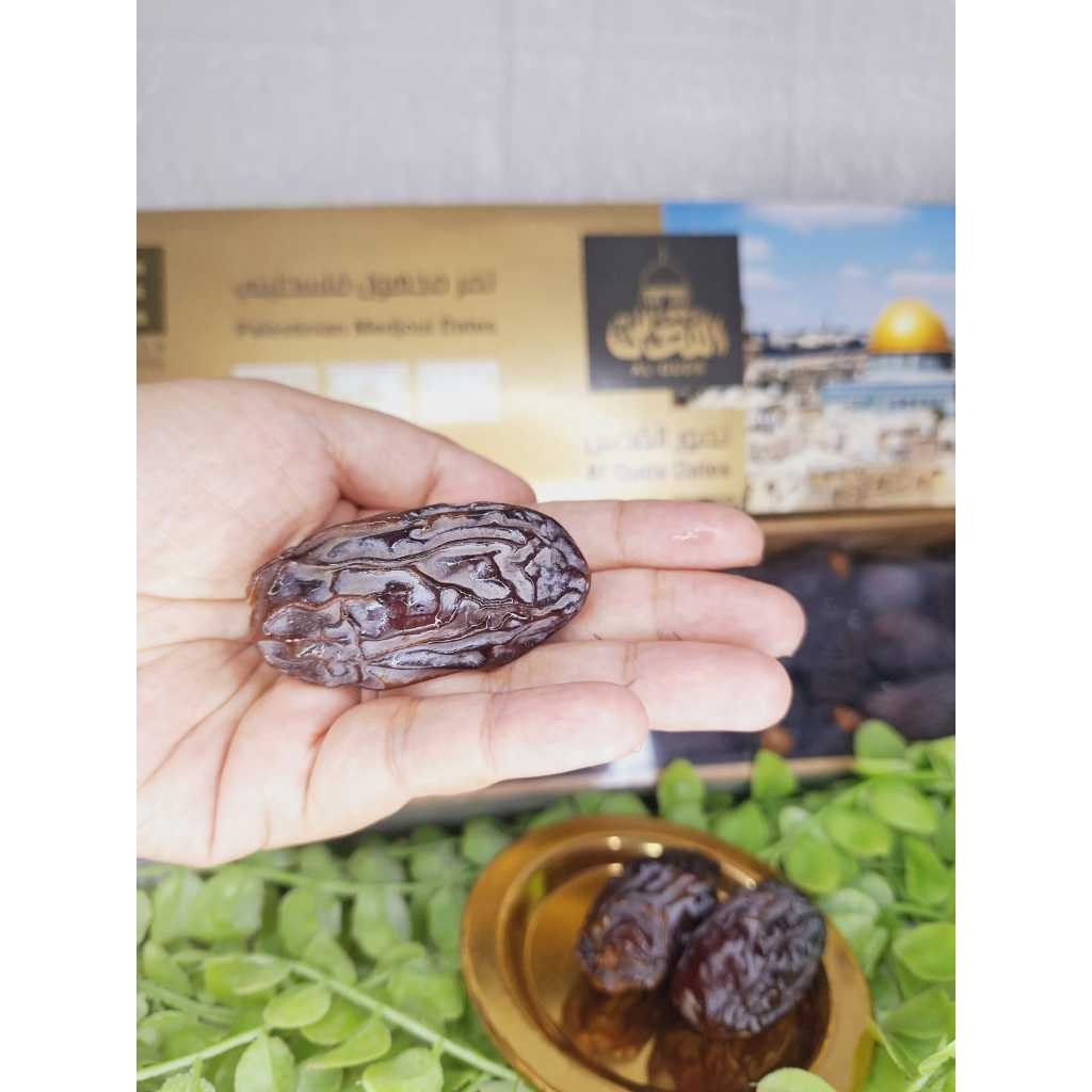 

Kurma Medjool Palestina Super Jumbo 1 Kg Al Quds Premium Classic Standard