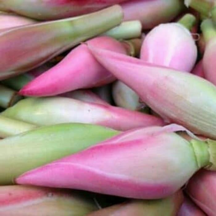 

bu ga kecombrang atau combrang