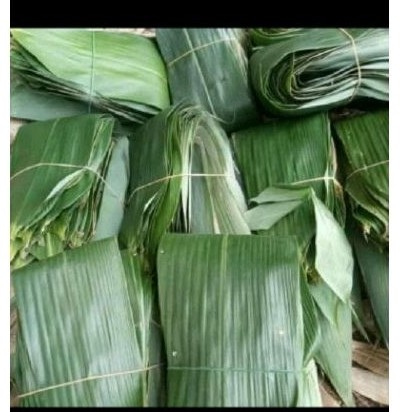 

Daun bambu sgar 100 lmbar bungkus bacang .