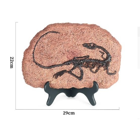 Ambar MAINAN DINOSAURUS / FIGURE DINOSAURUS / FOSIL DINOSAURUS - sinosauropteryx